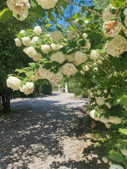 Le Clos De La Rose Gite Bien Etre Wirwignes Bagian luar foto