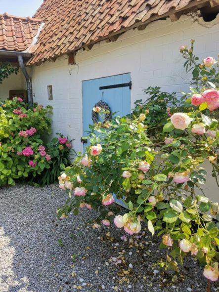 Le Clos De La Rose Gite Bien Etre Wirwignes Bagian luar foto